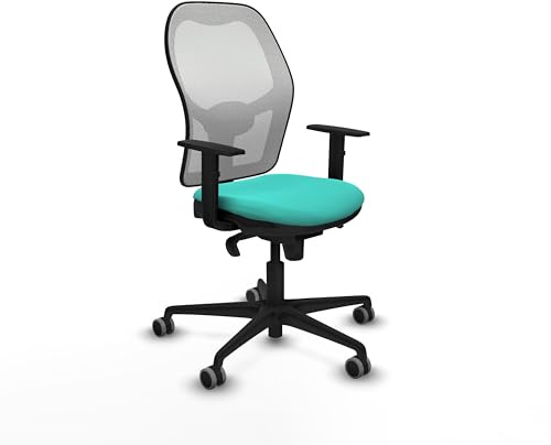 Piqueras y Crespo Ergonomischer Schreibtischstuhl aus Holz, feste Rückenlehne, Lendenwirbelstütze 1D, 1D-Arme, Nutzung 8 Stunden, maximales Gewicht 120 kg