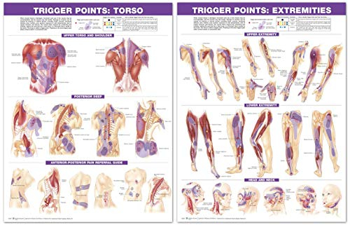 Trigger Points Chart Set: Extremities and Torso