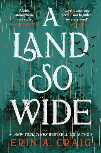 A Land So Wide: A breathtaking, deliciously dark fairy tale from #1 New York Times and USA Today bestselling author Erin A. Craig
