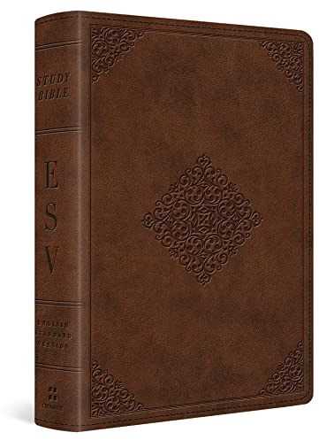 ESV Study Bible, Personal Size (TruTone, Saddle, Ornament Design)