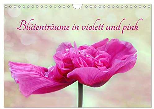 Blütenträume in violett und pink (Wandkalender 2026 DIN A4 quer), CALVENDO Monatskalender: Romantische Blumenmotive in harmonischen Farben (CALVENDO Natur)
