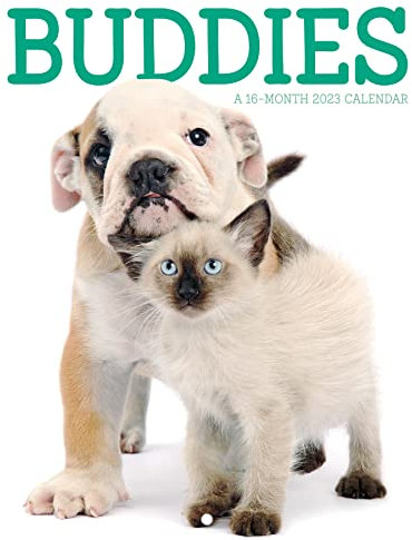 2023 Buddies Mini Wall Calendar