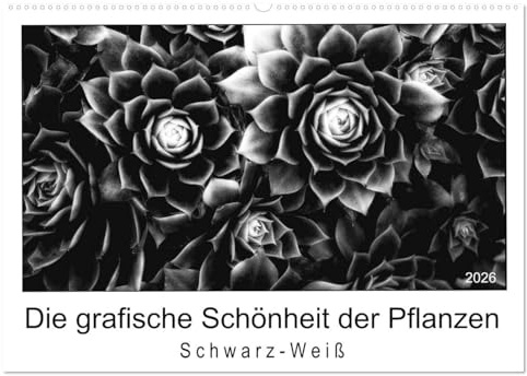 Die grafische Schönheit der Pflanzen – Schwarz-Weiß (Wandkalender 2026 DIN A2 quer), CALVENDO Monatskalender: 13 eindrucksvolle Naturaufnahmen in Schwarzweiß (CALVENDO Orte)