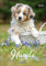 Hunde 2025: Wandkalender mit Fotos von Hunden. Format 23,5 x 33,5 cm.