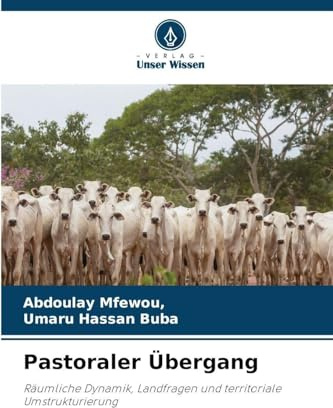 Pastoraler Übergang: Räumliche Dynamik, Landfragen und territorialeUmstrukturierung