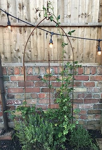 Rustic Metal Garden Rose Arch - Rose Climbing Plant Support - Rusty Garden Arch - Plant Trellis - Garden Art Decor - Metal Garden Arch