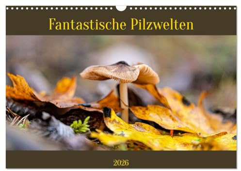 Fantastische Pilzwelten (Wandkalender 2026 DIN A3 quer), CALVENDO Monatskalender: Pilze sind unglaublich vielfältig. (CALVENDO Natur)