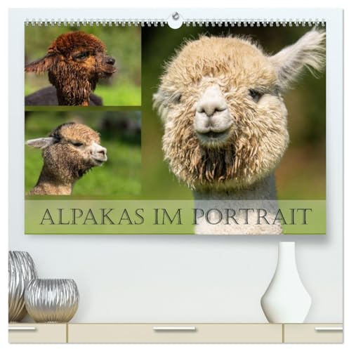 Alpakas im Portrait (hochwertiger Premium Wandkalender 2026 DIN A2 quer), Kunstdruck in Hochglanz: Alpakas sind wertvolle Wolllieferanten (CALVENDO Tiere)