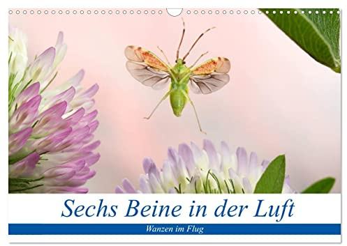 Sechs Beine in der Luft - Wanzen im Flug (Wandkalender 2026 DIN A3 quer), CALVENDO Monatskalender: Bilder von fliegenden Wanzen (CALVENDO Tiere)