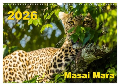 Masai Mara 2026 (Wandkalender 2026 DIN A3 quer), CALVENDO Monatskalender: Landschafts- und Tieraufnahmen aus der Masai Mara in Kenia (CALVENDO Natur)
