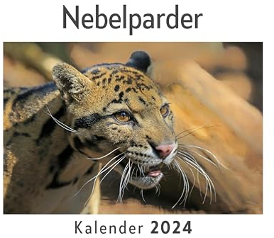 Nebelparder (Wandkalender 2024, Kalender DIN A4 quer, Monatskalender im Querformat mit Kalendarium, Das perfekte Geschenk)