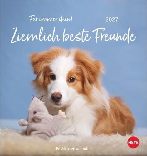 Ziemlich beste Freunde Postkartenkalender 2027 - Für immer dein: Postkarten-Fotokalender mit Hunden und ihren Lieblingsstofftieren. Kleiner Kalender voll süßer Bilder und lustiger Sprüche.