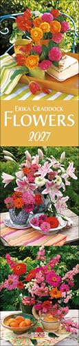 Flowers Langplaner 2027: Langplaner