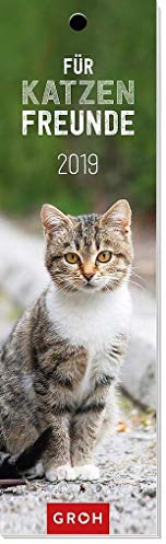 Für Katzenfreunde 2019: Lesezeichenkalender