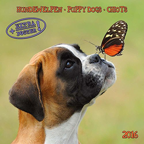 Puppy Dogs/Hundewelpen 2024: Kalender 2024 (Artwork Edition)