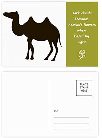 Postkarten-Set, Motiv: schwarzes Kamel, 20 Stück