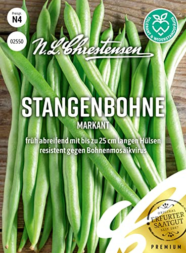 Chrestensen Stangenbohne Markant Samen, Grün | Resistent, Früh Ertragreich, 25cm Lang Zart, Phaseolus vulgaris, Vertikalanbau