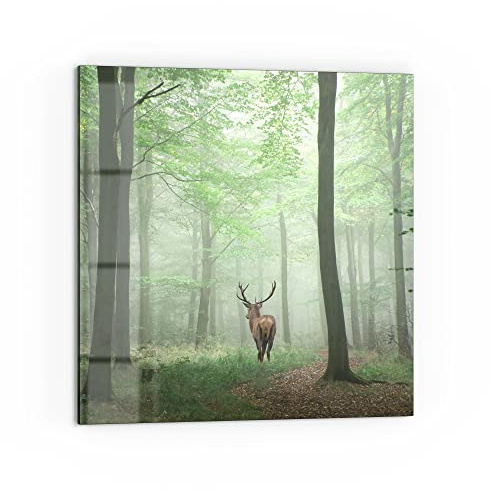 DEQORI Küchenrückwand Glas | Motiv Hirsch zwischen Bäumen | 60x60 cm | Bad- oder Herd-Rückwand | Herdblende Spritzschutz für Küche & Badezimmer | moderne Deko für Fliesenspiegel