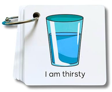 Plastic Communication Cards, Basic Communication 60 Picture Words, Special Needs, Autism, Toddler, Hospital Cards, Non Verbal Speech Therapy, Senior