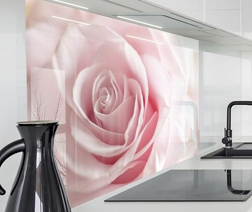 timalo Spritzschutz Wand für Herd, Küche Küchenrückwand Glasoptik | Acryl Glas 2mm | Glasrückwand Acrylglas Wandpaneele Rückwandschutz Platte | 60x40cm Rosa Rose