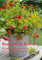 Bouquets de fleurs du jardin, campagne et forêt: Bouquets de fleurs naturelles, arrangés avec amour. Calendrier mural A3 vertical 2017
