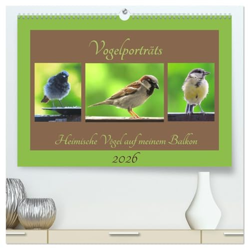 Vogelporträts - Heimische Vögel auf meinem Balkon (hochwertiger Premium Wandkalender 2026 DIN A2 quer), Kunstdruck in Hochglanz: Freuen Sie sich über ... aus Ihrem Garten (CALVENDO Tiere)