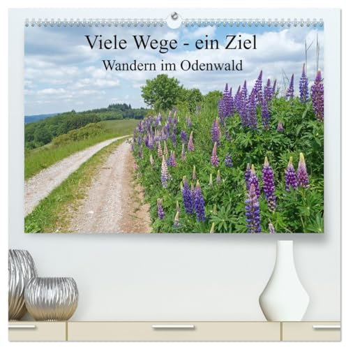 Viele Wege - ein Ziel Wandern im Odenwald (hochwertiger Premium Wandkalender 2026 DIN A2 quer), Kunstdruck in Hochglanz: Der Geo - Naturpark Odenwald ... Wiesen, Tälern und Anhöhen.. (CALVENDO Orte)
