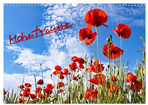 Mohnträume (Wandkalender 2026 DIN A3 quer), CALVENDO Monatskalender: Traumhafte Bilder vom Mohn in allen Farben (CALVENDO Natur)