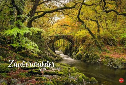 Zauberwälder Edition Kalender 2027: Wandkalender XL mit Fotos verwunschener Wälder und Lichtungen. Kalender-Großformat mit hochwertigen und geheimnisvollen Fotos.