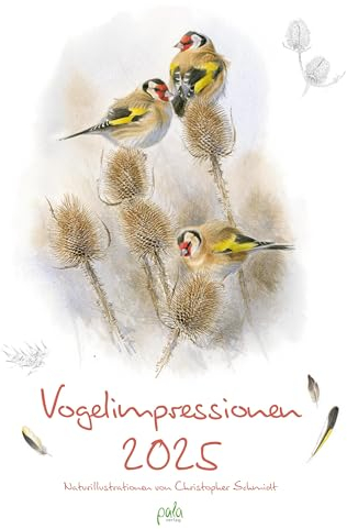 Vogelimpressionen 2025: Naturillustrationen von Christopher Schmidt