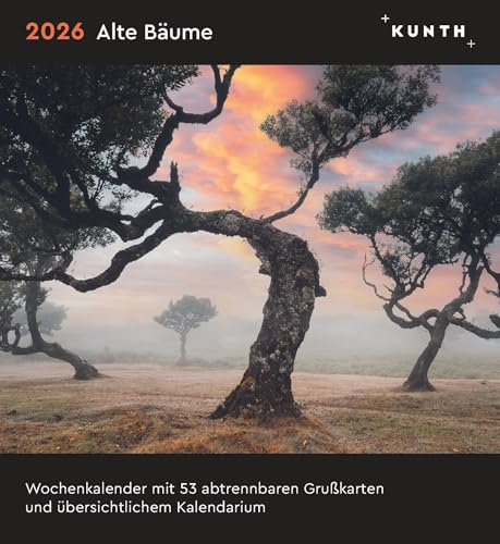 Alte Bäume - KUNTH Postkartenkalender 2026: Hochwertiger Tischkalender mit 53 traumhaften Postkarten (auch zum Aufhängen) (KUNTH Postkartenkalender 52 Wochen)
