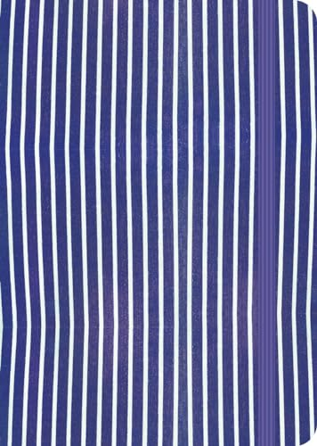 Carmyne's Journal: Blue stripes