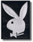 Playboy - embroidered patch 8x 10 cm