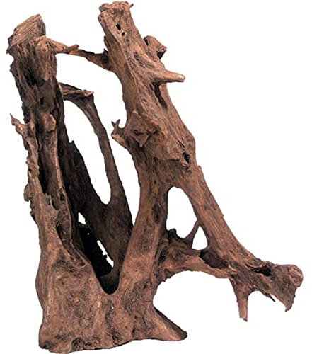 Racine Mangrove Bois L 35-65CM