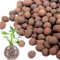 Flornatur Arlita Expandida para Plantas | Bolitas para Macetas y Jardines| Arlita para Drenaje | Forma de Bolas | Tierra Húmeda para Suelo (Saco 50 litros)
