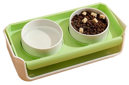 Petite gamelle surélevée inclinée en céramique pour chat, modèle de luxe, anti-renversement, anti-déversement, gamelles antidérapantes pour nourriture et eau, gamelle surélevée pour chat et eau