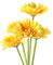 SEWACC 5stücke Künstliche Gelbe Blumen Für Hochzeiten Und Heimdekoration Kunstblumen Für Vasen Tischarrangements Und Partys