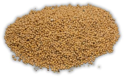 Bearded Butchers Dried Whole Mustard Seed 1.5oz – Premium Seasoning for DIY Meat Processing, Sausage, Jerky, Snack Sticks & More – Perfect for 25lb of Meat – Classic Mustard Flavor