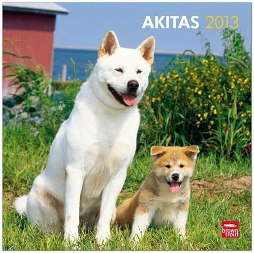 Akitas 2013 (Wall-Kalender)