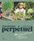Mon potager perpétuel: 90 plantes comestibles pour des récoltes à l'infini et sans effort