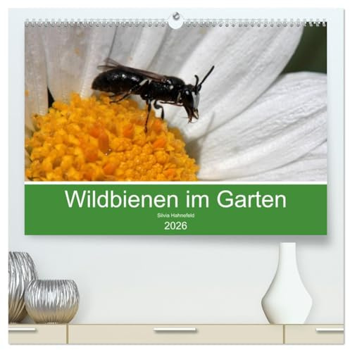 Wildbienen im Garten (hochwertiger Premium Wandkalender 2026 DIN A2 quer), Kunstdruck in Hochglanz: Faszinierende Nahaufnahmen kleiner Nützlinge (CALVENDO Tiere)