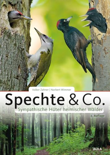 Spechte & Co.: Sympathische Hüter heimischer Wälder