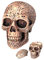 Isideco Totenkopf Aschenbecher zum öffnen 10cm