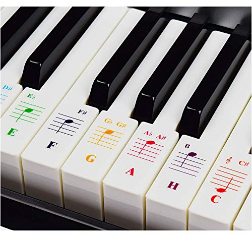 Klavieraufkleber für Keyboards mit 49/61 / 76/88 Tasten – Transparent und Entfernbar
