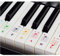 Klavieraufkleber für Keyboards mit 49/61 / 76/88 Tasten – Transparent und Entfernbar