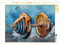 CALVENDO Puzzle Sport trifft Splash - Bodybuilding 1000 Teile Puzzle quer | Lege-Größe cm Foto-Puzzle für glückliche Stunden