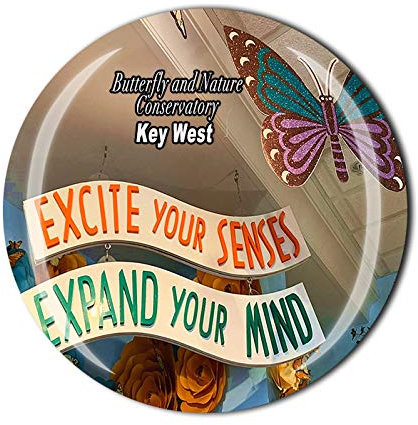 3D-Kühlschrankmagnet, Motiv: Schmetterling und Natur, Motiv: Conservatory Key West USA, Souvenir, Kristallglas, Reise-Souvenir, Sammlung, Geschenk, Heimküche, Dekoration