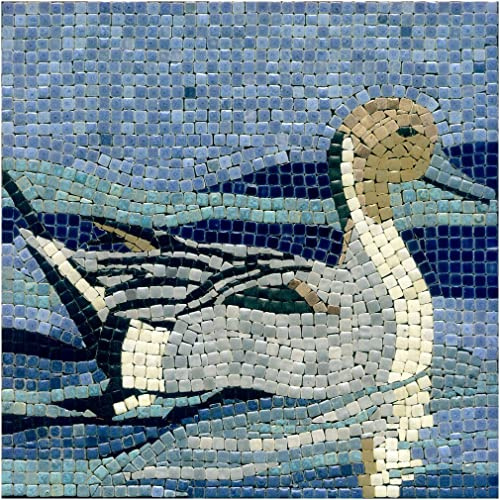 Express Your Creativity with Our Mosaic Tile Kit 20 x 20 cm Duck