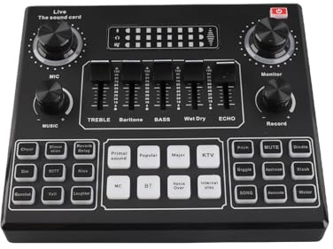 Soundkarte, Live Sound Card Audio Effects Mixer mit Dual -Mikrofonen für Rauschreduktion für die BT -Begleitung von Broadcasting -Aufnahmen
