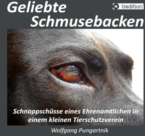 Geliebte Schmusebacken: Schnappschüsse eines Ehrenamtlichen in einem kleinen Tierschutzverein